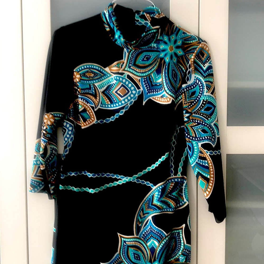 Cashe dress